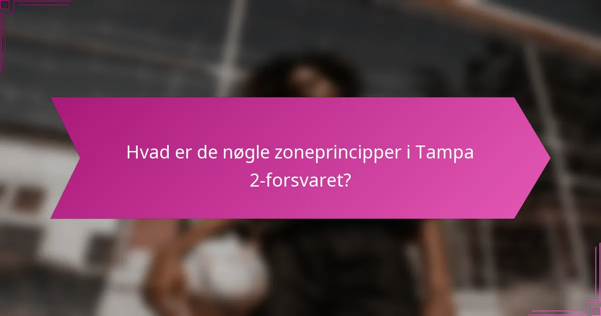 Hvad er de nøgle zoneprincipper i Tampa 2-forsvaret?