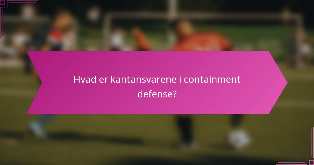 Hvad er kantansvarene i containment defense?