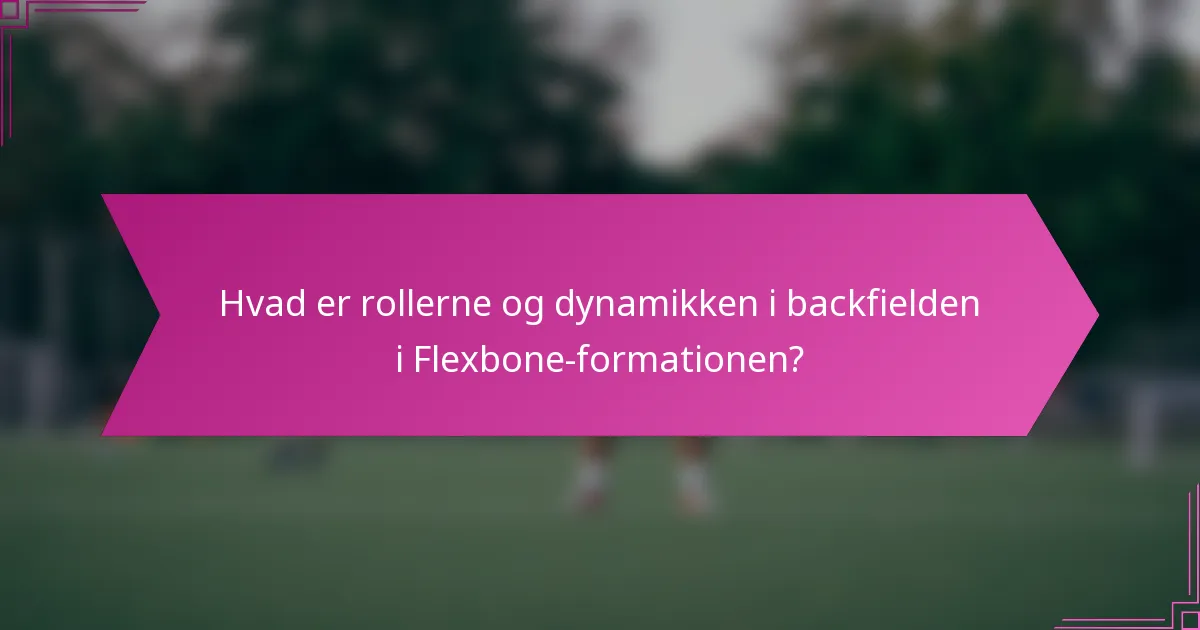 Hvad er rollerne og dynamikken i backfielden i Flexbone-formationen?