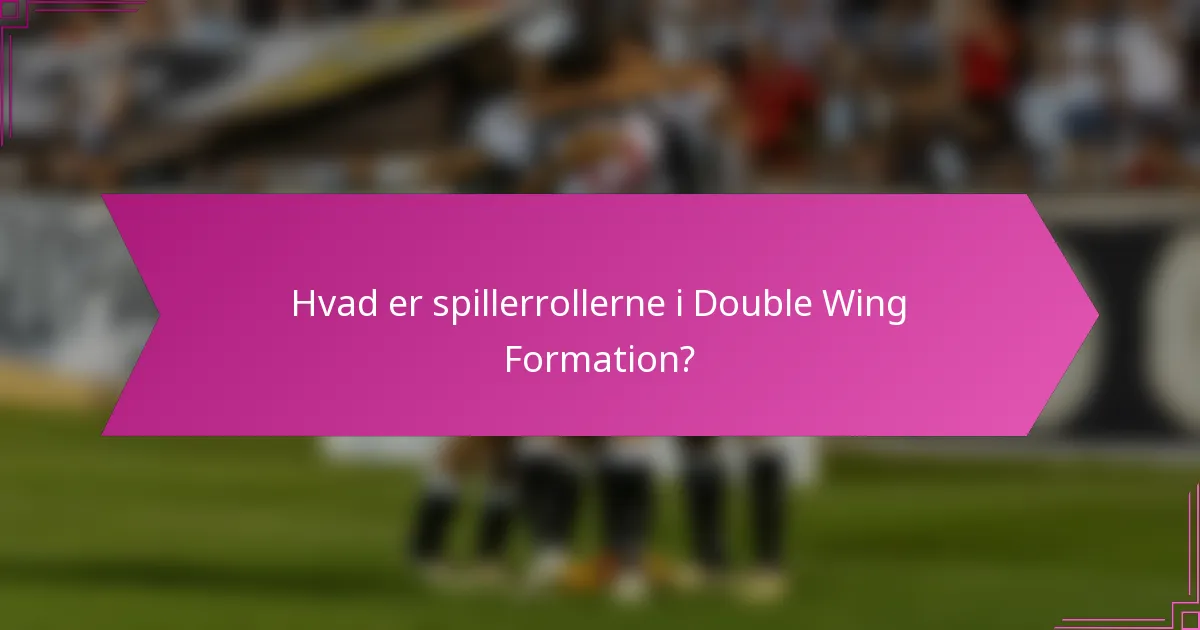 Hvad er spillerrollerne i Double Wing Formation?