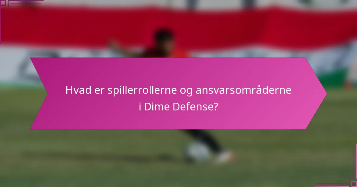Hvad er spillerrollerne og ansvarsområderne i Dime Defense?