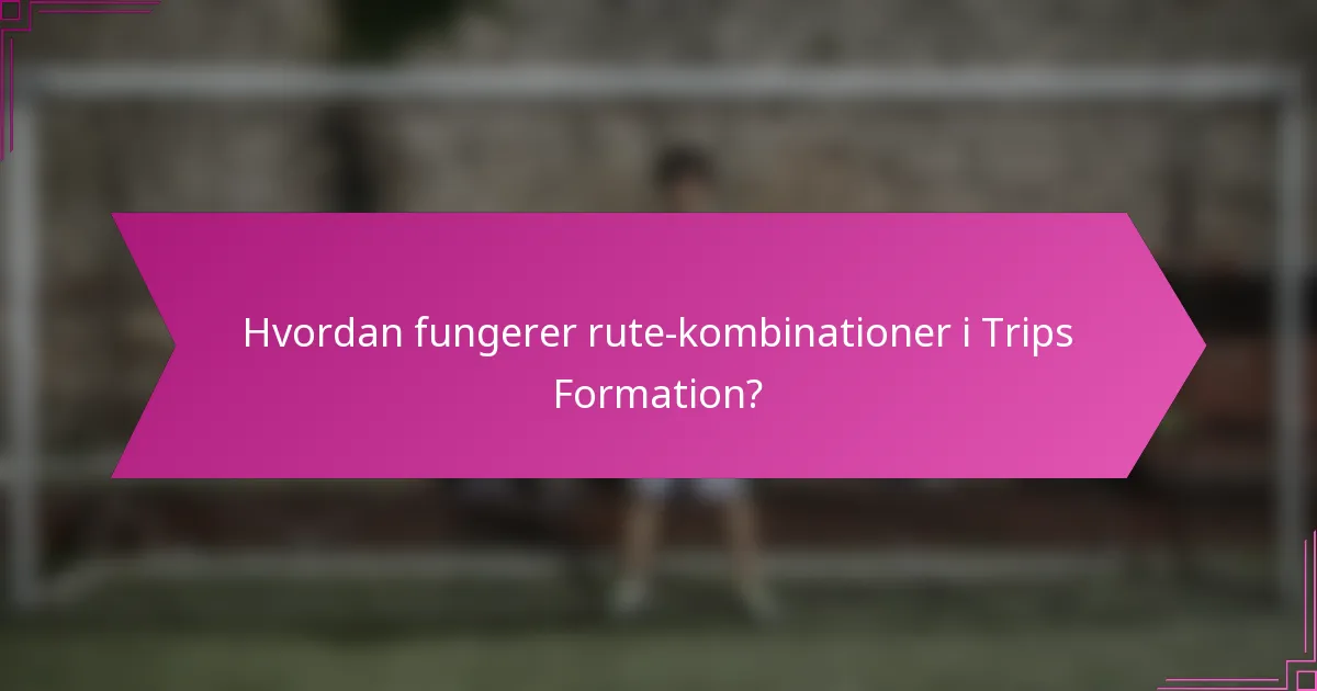 Hvordan fungerer rute-kombinationer i Trips Formation?
